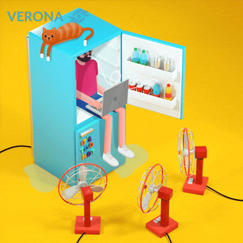Verona Man Using Laptop In Fridge GIF