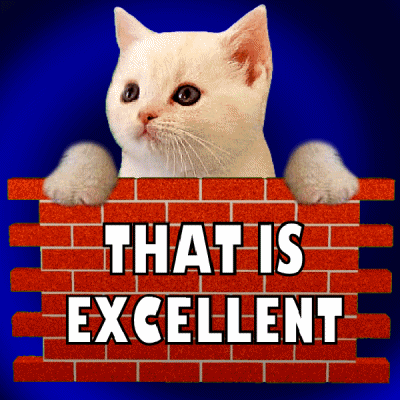 Very Good Excellent Cat GIF