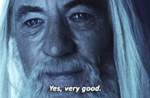 Very Good Gandalf Yes GIF