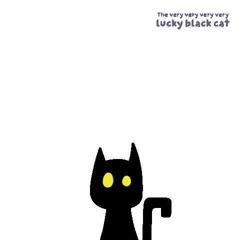Very Lucky Black Cat with Yellow Eyes