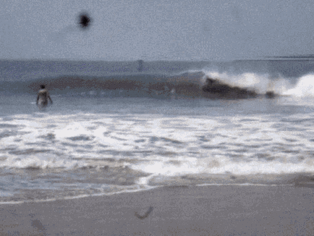 Ves Viviendoelsurf Gif GIF