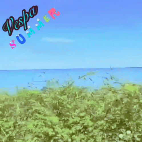 Vespa Summer Field Painting GIF
