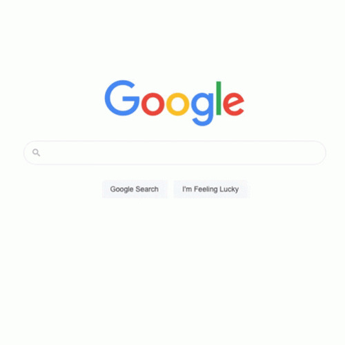 Vet Search Google Or Type A Url Meme GIF