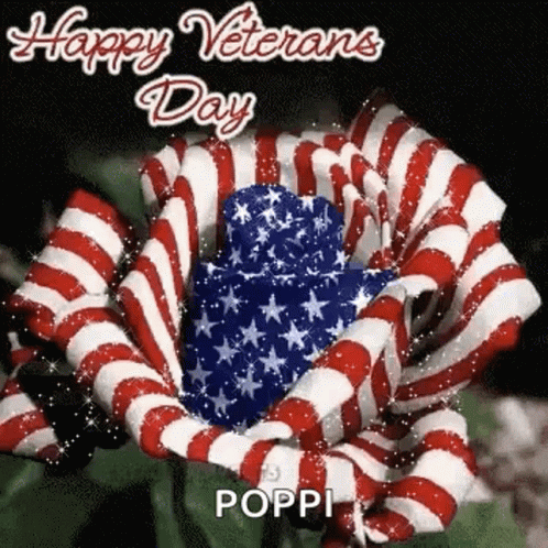 Veterans Day Greeting Card with American Flag and Flower