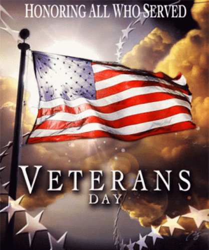 Veterans Day Poster American Flag Stars