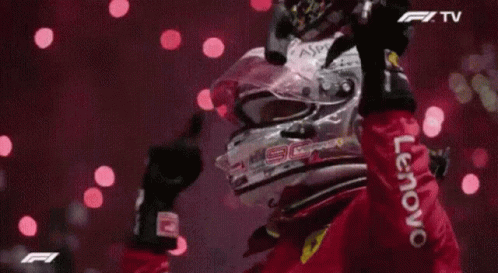 Vettel Leclerc Collision Cheering GIF