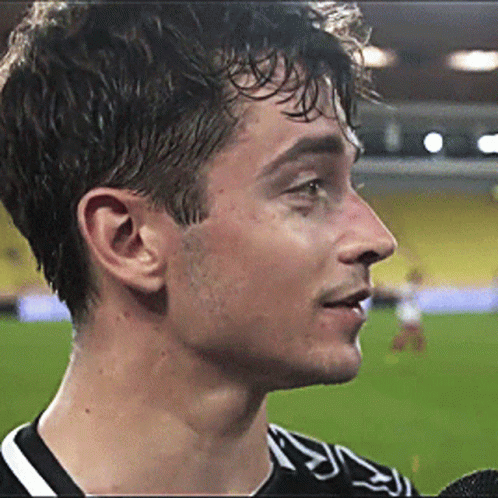 Vettel Leclerc Collision Giving Statement GIF