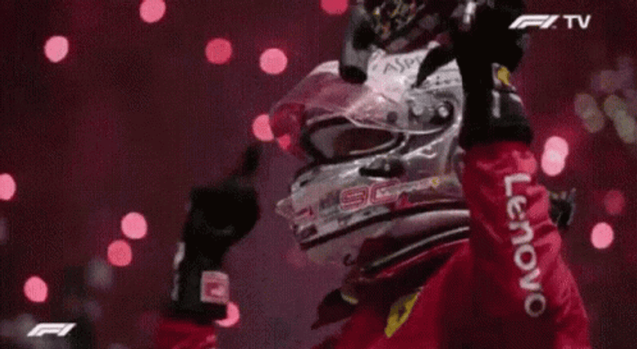 Vettel Leclerc Collision Cheering GIF
