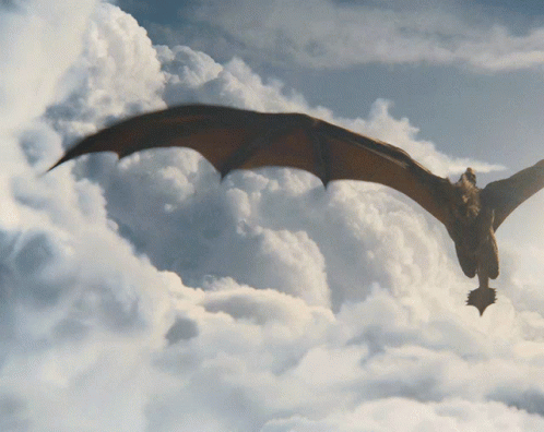 Vhagar Dragon Flying GIF