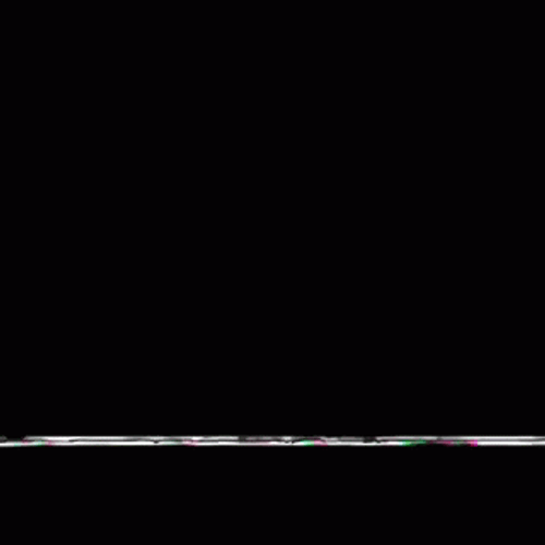 Vhs Black No Signal Screen GIF