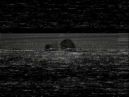 Vhs Effect Blue And Black Screen GIF
