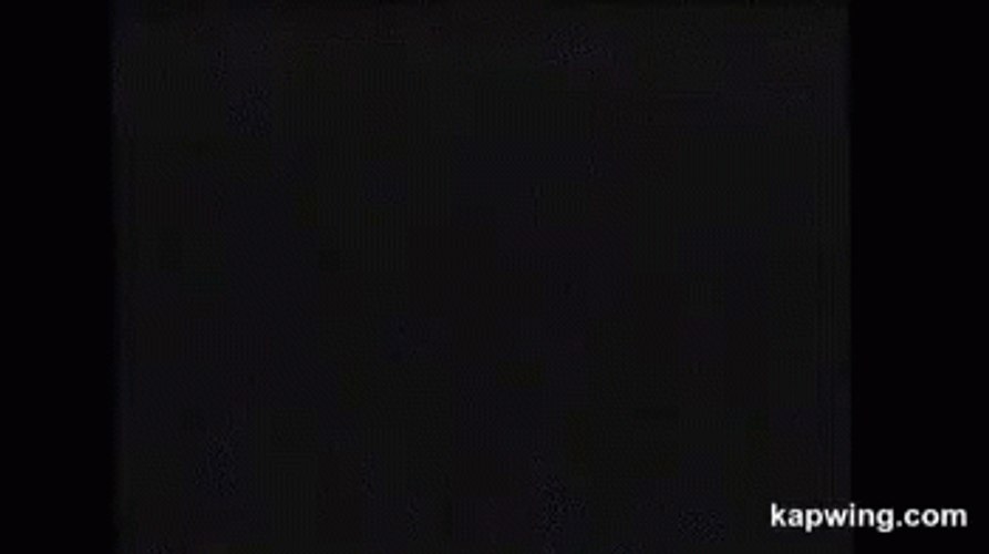 Vhs Pre-Show Tape Reminder GIF