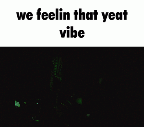 We Feeling The Yeat Vibe GIF