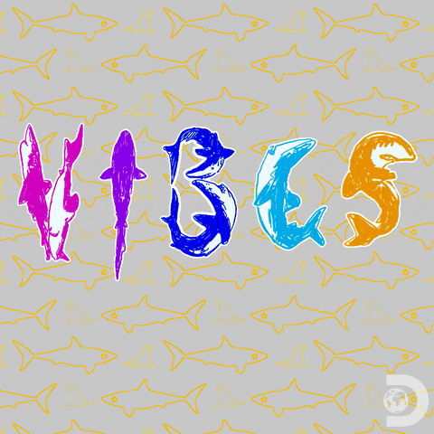 VIBES sharks. Shark week.
