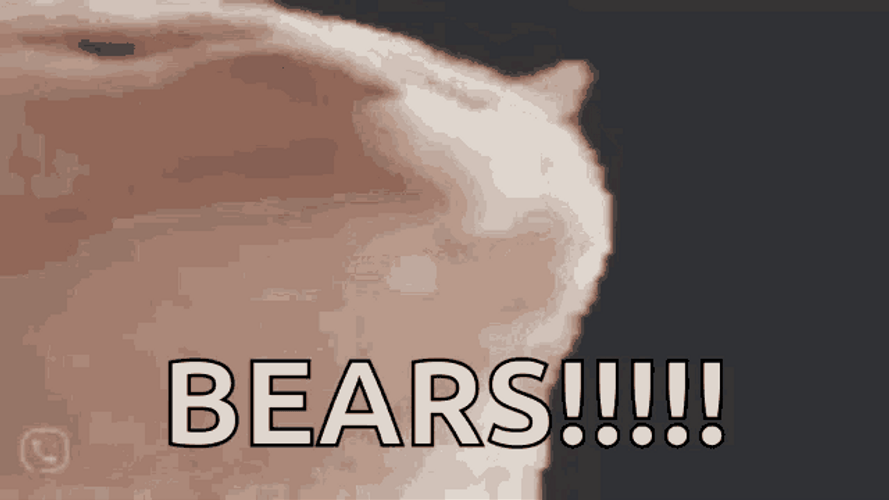 Vibing Cat Bears GIF