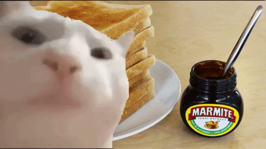 Vibing Cat Bread Marmite Spread GIF