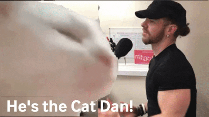 Vibing Cat Daniel Leigh GIF