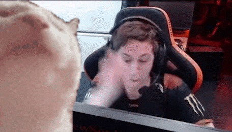 Vibing Cat Fnatic Valorant GIF