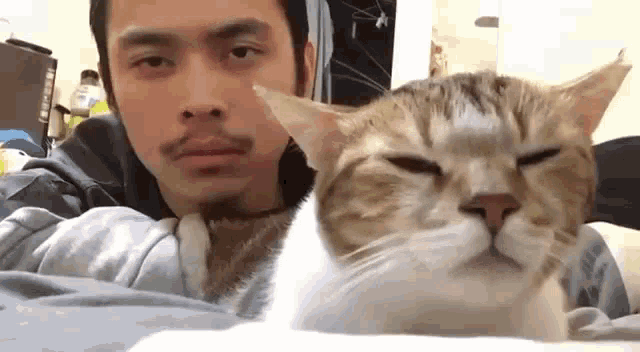 Vibing Cat Guy Nodding Music GIF