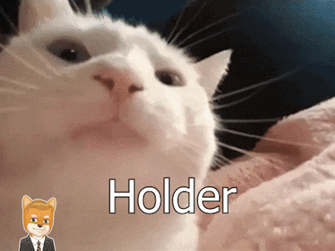 Vibing Cat Holder Will Ferrell GIF