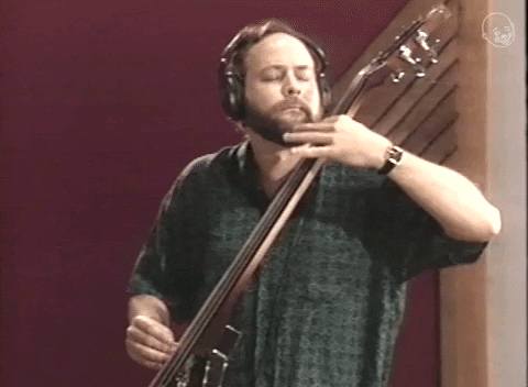 Vibing Musician Artist GIF