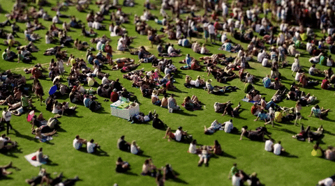 Vibrant Coachella Crowd At The Iconic Event GIF