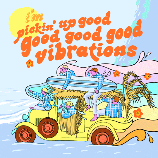 Vibrate Adventure The Beach Boys GIF