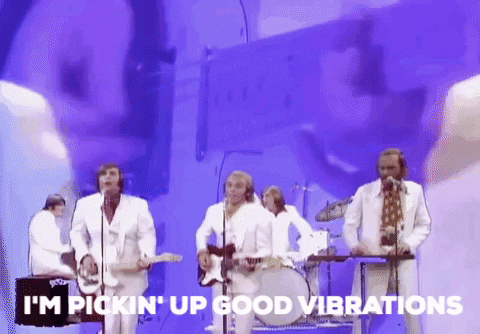 Vibrate Happy Vibes The Beach Boys Song GIF