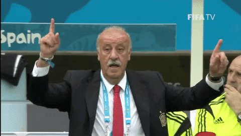 Vicente Del Bosque Coaching GIF