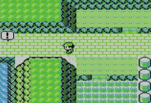 Pokemon Video Game GIF