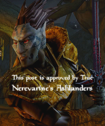 Video Game Character Approved By True Nerevarine GIF