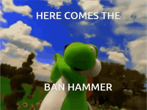 Video Game Character Here Comes the Ban Hammer