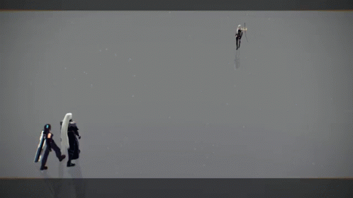 Video Game Character With Long White Hair Standing Next To Character GIF