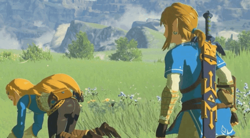Video Game Character With Sword Saying Zelda