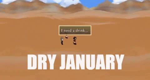 Video Game Dry January GIF