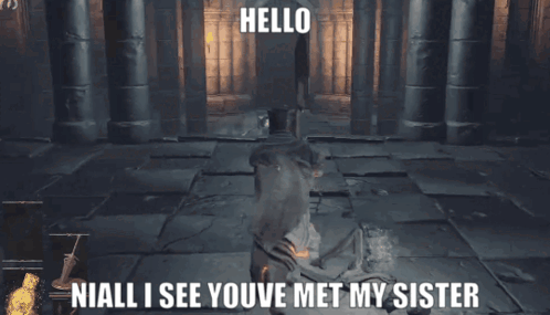 Video Game Hello Niall Youve Met My Sister