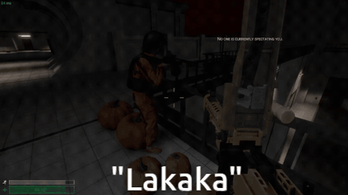 Video Game Saying Lakaka