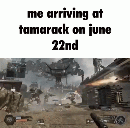 Video Game Scene Me Arriving at Tamarack June 22nd