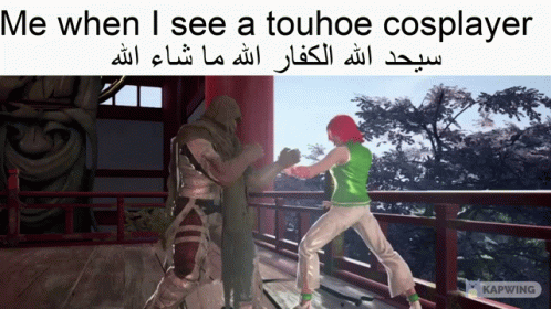 Video Game Scene Me When I See Touhhoe Cosplayer GIF