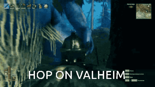 Video Game Screen Hop on Valheim