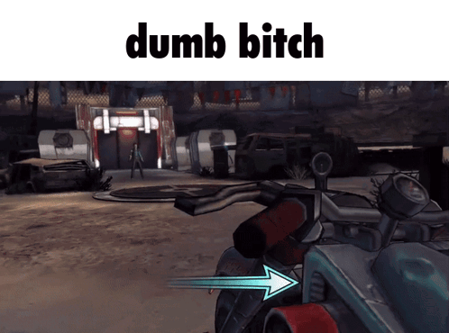 Video Game Screenshot Dumb Bitch GIF