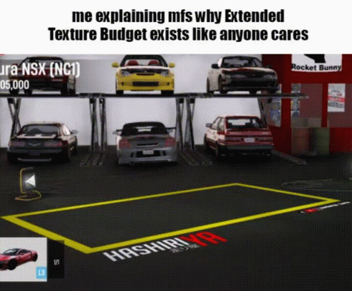 Video Game Screenshot Me Explaining Mfs Why Extended Texture Budget Exists GIF