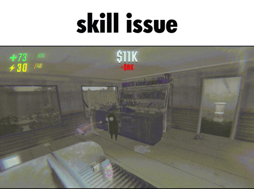Video Game Screenshot Skill Issue