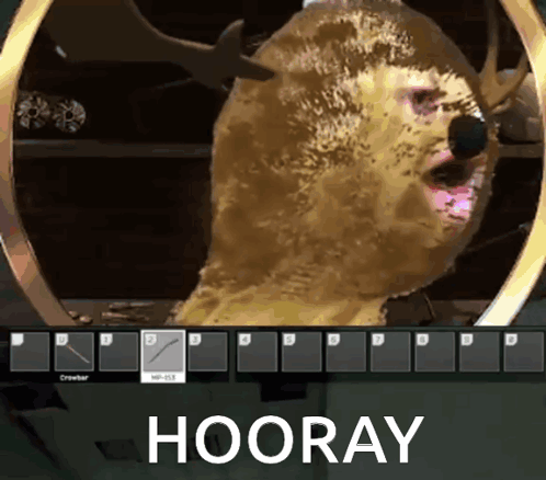 Video Game Screenshot With Hooray