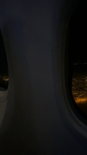 View of City from Airplane Window