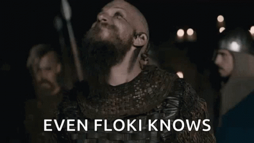 Even Viking Floki Knows GIF