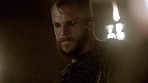 Viking Betrayed Us GIF