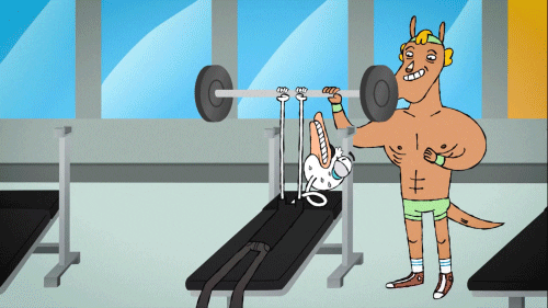 Vikings Let Chicken Weight Lifting Work Out GIF