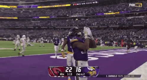 Vikings vs Cardinals Football Game