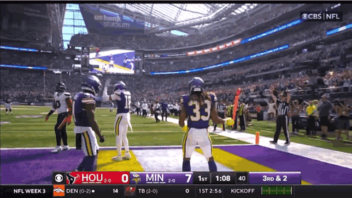Vikings vs Hous Football Game